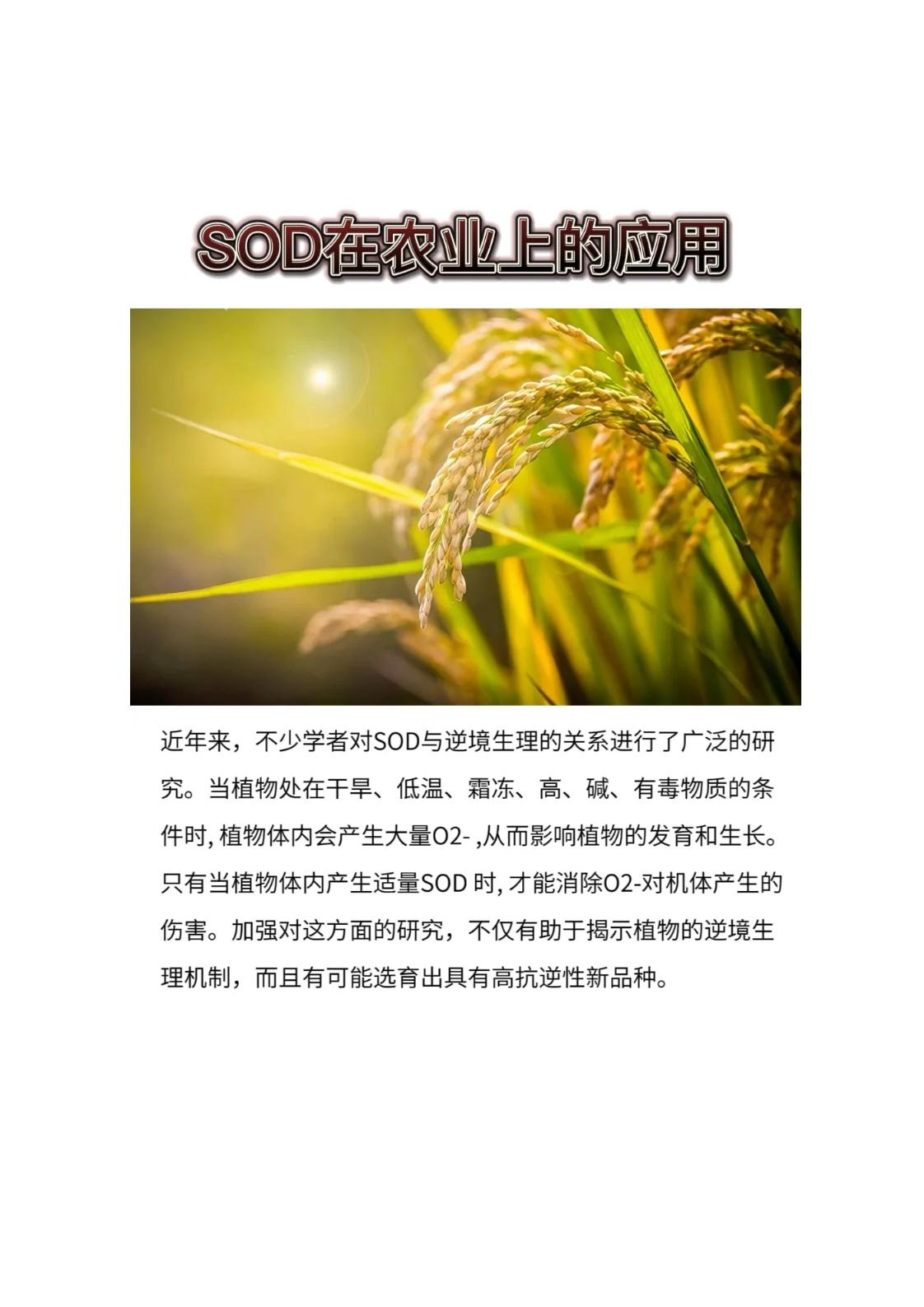 hth官网入口