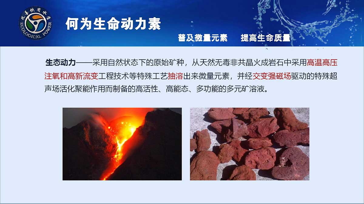 hth官网入口