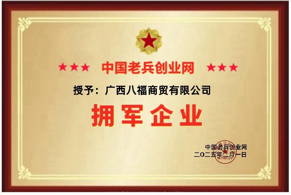 二十大报告 更多+